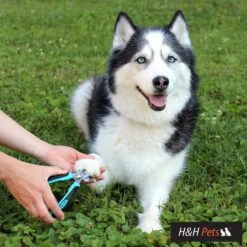 H&H Pets Dog & Cat Nail Clipper 8 H&H Pets Dog & Cat Nail Clipper -Pet Wellness 157159 PT3. AC SS1800 V1575986282