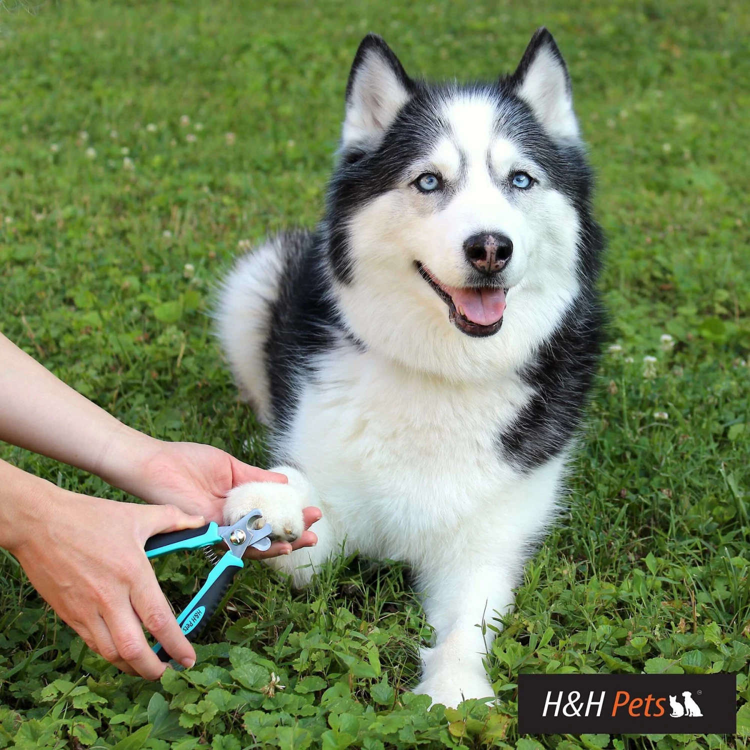 H&H Pets Dog & Cat Nail Clipper 4 H&H Pets Dog & Cat Nail Clipper - Image 4