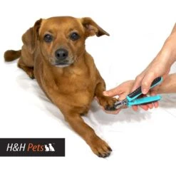 H&H Pets Dog & Cat Nail Clipper 9 H&H Pets Dog & Cat Nail Clipper -Pet Wellness 157159 PT4. AC SS1800 V1575986274