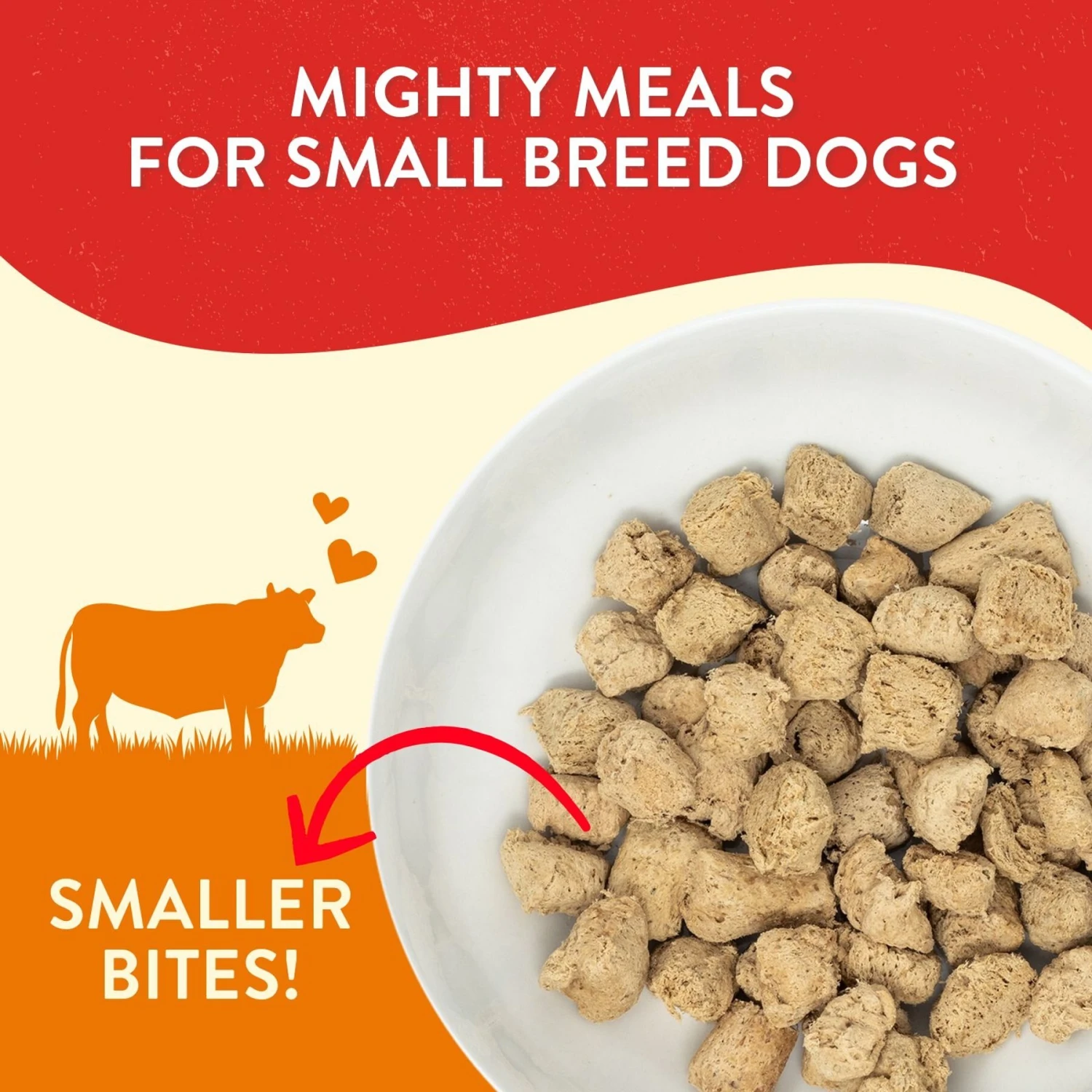 Stella & Chewy's Lil' Bites Itty Bitty Beef Recipe Small Breed Freeze-Dried Raw Dog Food 2 Stella & Chewy's Lil' Bites Itty Bitty Beef Recipe Small Breed Freeze-Dried Raw Dog Food - Image 2
