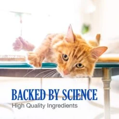 Nutramax Cobalequin Chewable Tablets B12 Supplement For Cats & Small Dogs, 45 Count 12 Nutramax Cobalequin Chewable Tablets B12 Supplement For Cats & Small Dogs, 45 Count -Pet Wellness 158535 PT3. AC SS1800 V1668631969