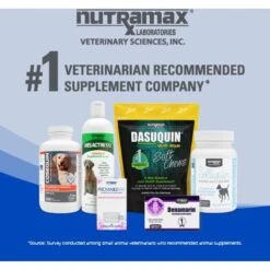Nutramax Cobalequin Chewable Tablets B12 Supplement For Cats & Small Dogs, 45 Count 16 Nutramax Cobalequin Chewable Tablets B12 Supplement For Cats & Small Dogs, 45 Count -Pet Wellness 158535 PT7. AC SS1800 V1668633690