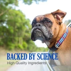 Nutramax Cobalequin Chewable Tablets B12 Supplement For Medium To Large Dogs 12 Nutramax Cobalequin Chewable Tablets B12 Supplement For Medium To Large Dogs -Pet Wellness 158537 PT3. AC SS1800 V1668637511