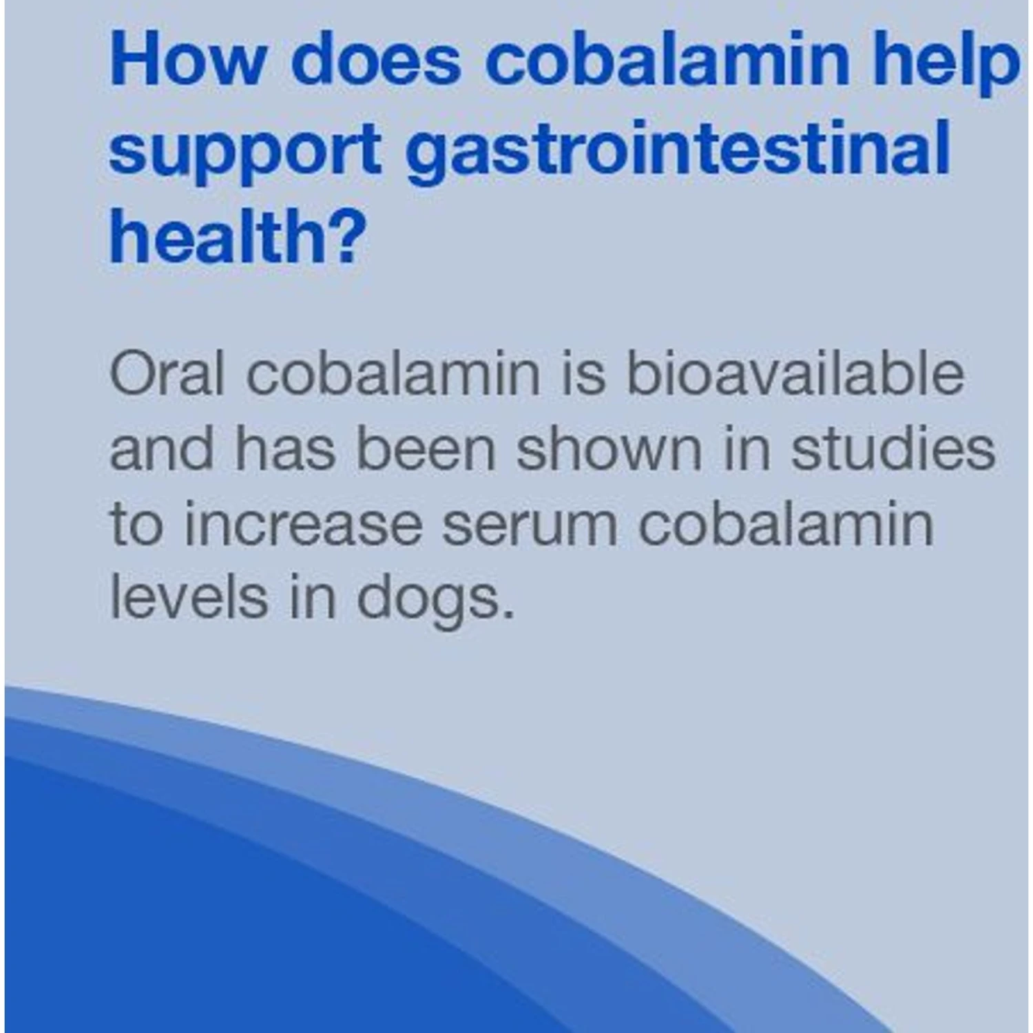 Nutramax Cobalequin Chewable Tablets B12 Supplement For Medium To Large Dogs 6 Nutramax Cobalequin Chewable Tablets B12 Supplement For Medium To Large Dogs - Image 6