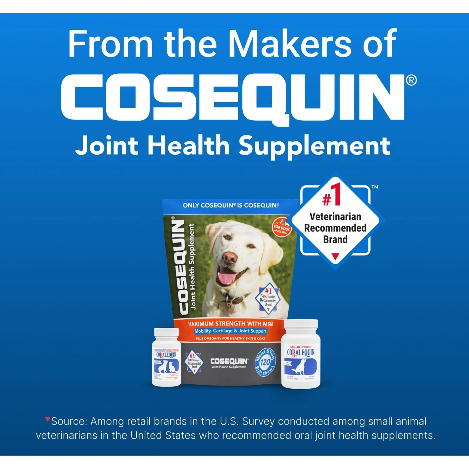 Nutramax Cobalequin Chewable Tablets B12 Supplement For Medium To Large Dogs 9 Nutramax Cobalequin Chewable Tablets B12 Supplement For Medium To Large Dogs - Image 9