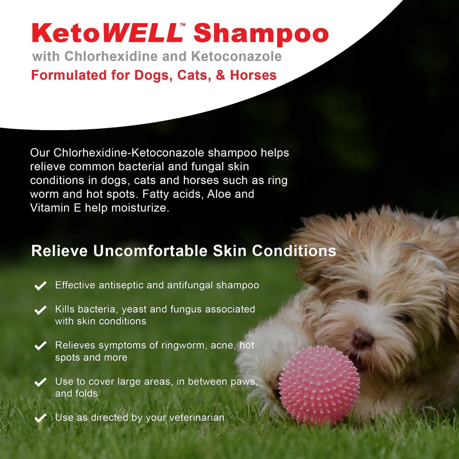 VetWELL KetoWell Antiseptic Dog, Cat & Horse Shampoo 2 VetWELL KetoWell Antiseptic Dog, Cat & Horse Shampoo - Image 2