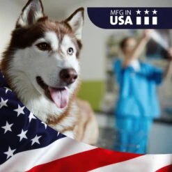 VetWELL KetoWell Antiseptic Dog, Cat & Horse Shampoo 9 VetWELL KetoWell Antiseptic Dog, Cat & Horse Shampoo -Pet Wellness 159299 PT4. AC SS1800 V1552398737