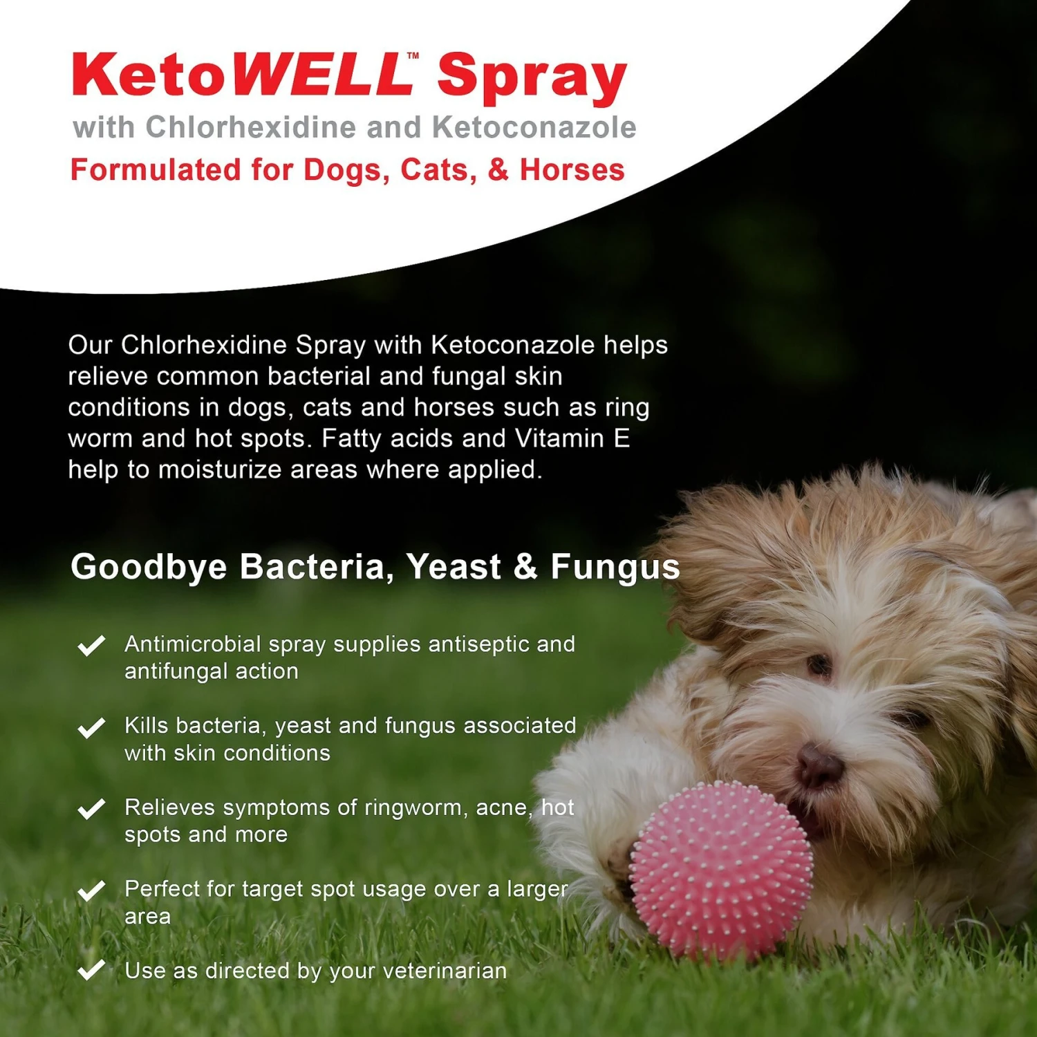 VetWELL KetoWell Antiseptic Dog, Cat & Horse Spray 2 VetWELL KetoWell Antiseptic Dog, Cat & Horse Spray - Image 2