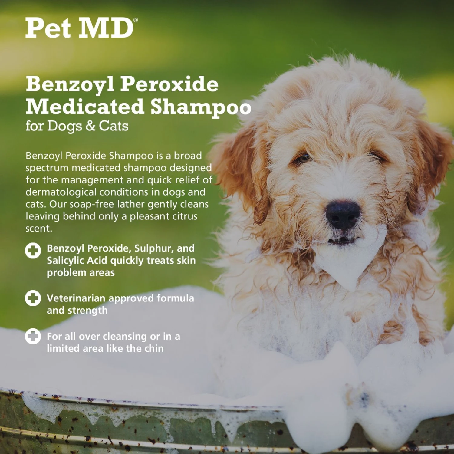 Pet MD Benzoyl Peroxide Dog & Cat Shampoo 3 Pet MD Benzoyl Peroxide Dog & Cat Shampoo - Image 3