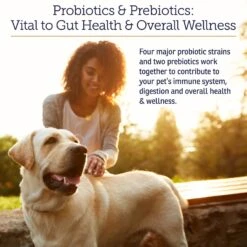 Rx Vitamins Rx Biotic Powder Digestive Supplement For Cats & Dogs 8 Rx Vitamins Rx Biotic Powder Digestive Supplement For Cats & Dogs -Pet Wellness 159321 PT2. AC SS1800 V1658201275