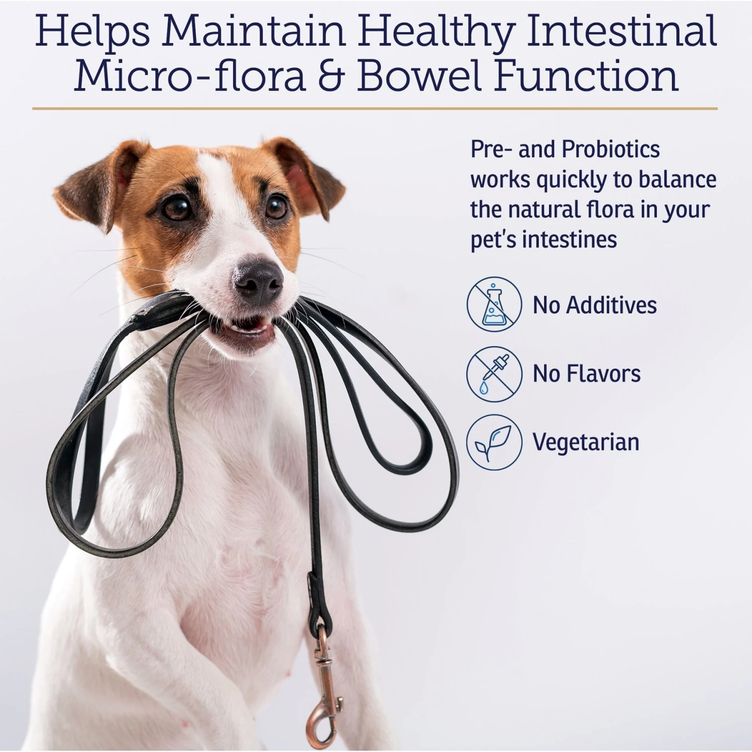 Rx Vitamins Rx Biotic Powder Digestive Supplement For Cats & Dogs 5 Rx Vitamins Rx Biotic Powder Digestive Supplement For Cats & Dogs - Image 5