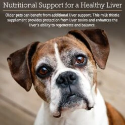 Rx Vitamins Hepato Support Liver Supplement For Cats & Dogs 5 Rx Vitamins Hepato Support Liver Supplement For Cats & Dogs -Pet Wellness 159324 PT2. AC SS1800 V1657656013