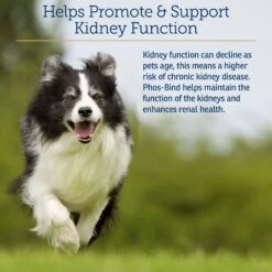 Rx Vitamins Phos-Bind Kidney Support Dog & Cat Supplement -Pet Wellness 159328 PT2. AC SS1800 V1657656013