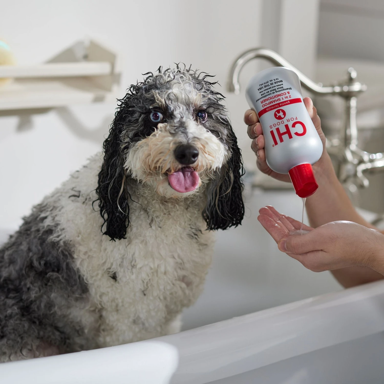 CHI Gentle 2 In1 Dog Shampoo & Conditioner 4 CHI Gentle 2 In1 Dog Shampoo & Conditioner - Image 4