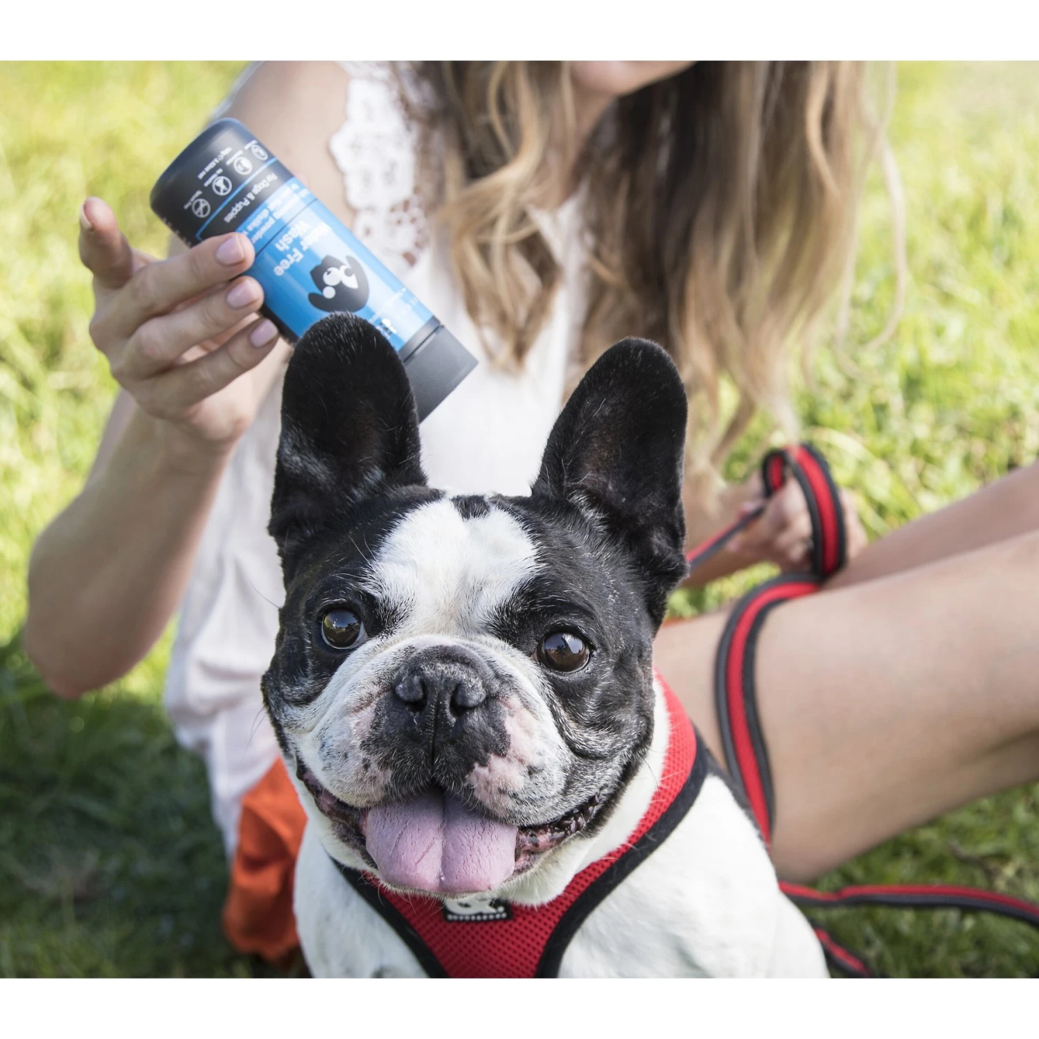 Rufus & Coco Water Free Wash For Dogs & Puppies, 3.52-oz Bottle 2 Rufus & Coco Water Free Wash For Dogs & Puppies, 3.52-oz Bottle - Image 2