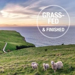 K9 Natural Hoki & Beef Grain-Free Freeze-Dried Dog Food -Pet Wellness 160748 PT5. AC SS1800 V1693229565