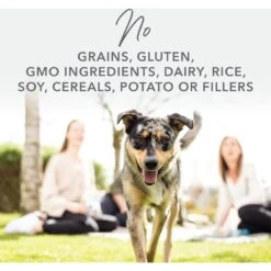 K9 Natural Lamb & King Salmon Grain-Free Freeze-Dried Dog Food -Pet Wellness 160751 PT2. AC SS1800 V1692973520