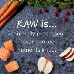 Instinct Raw Boost Grain-Free Recipe With Real Salmon & Freeze-Dried Raw Pieces Dry Dog Food -Pet Wellness 160755 PT3. AC SS1800 V1623433965