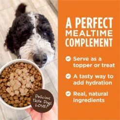 Instinct Healthy Cravings Grain-Free Cuts & Gravy Recipe Variety Pack Wet Dog Food Topper 10 Instinct Healthy Cravings Grain-Free Cuts & Gravy Recipe Variety Pack Wet Dog Food Topper -Pet Wellness 160772 PT3. AC SS1800 V1701881352