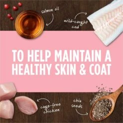 Instinct Freeze-Dried Raw Boost Mixers Grain-Free Skin & Coat Health Recipe Dog Food Topper -Pet Wellness 160782 PT3. AC SS1800 V1690554597