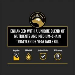 Purina Pro Plan Veterinary Diets Neurocare Dry Dog Food 11 Purina Pro Plan Veterinary Diets Neurocare Dry Dog Food -Pet Wellness 160904 PT2. AC SS1800 V1700162266