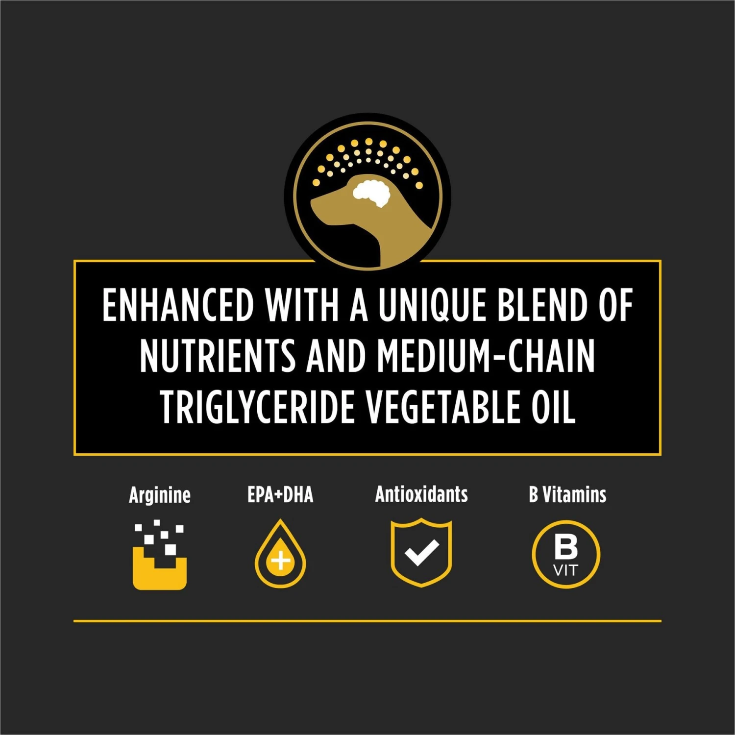 Purina Pro Plan Veterinary Diets Neurocare Dry Dog Food 3 Purina Pro Plan Veterinary Diets Neurocare Dry Dog Food - Image 3