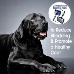 Four Paws Magic Coat Professional Series 2-in-1 Dog Brush -Pet Wellness 161182 PT5. AC SS1800 V1603808799