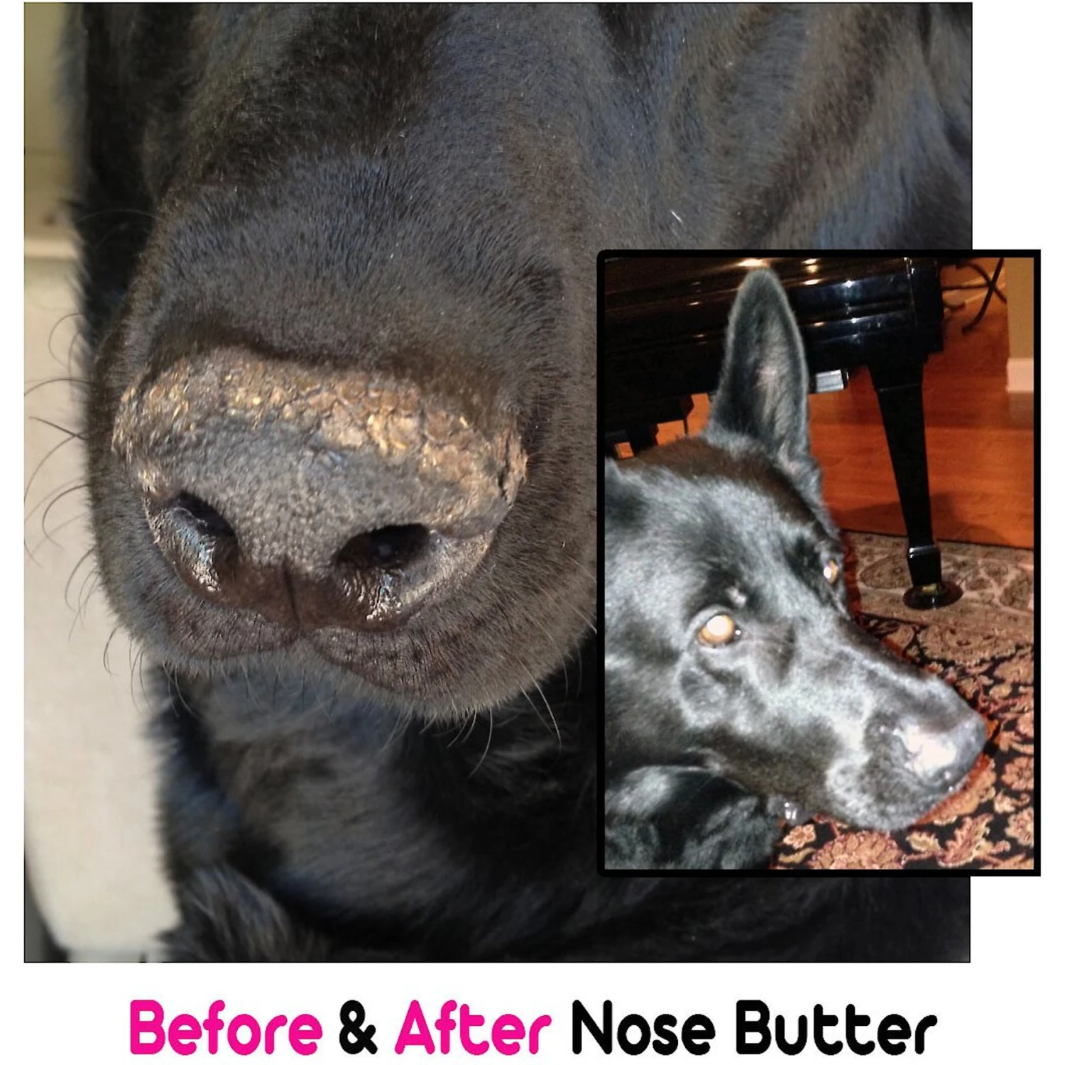 The Blissful Dog Every Dog Nose Butter 4 The Blissful Dog Every Dog Nose Butter - Image 4