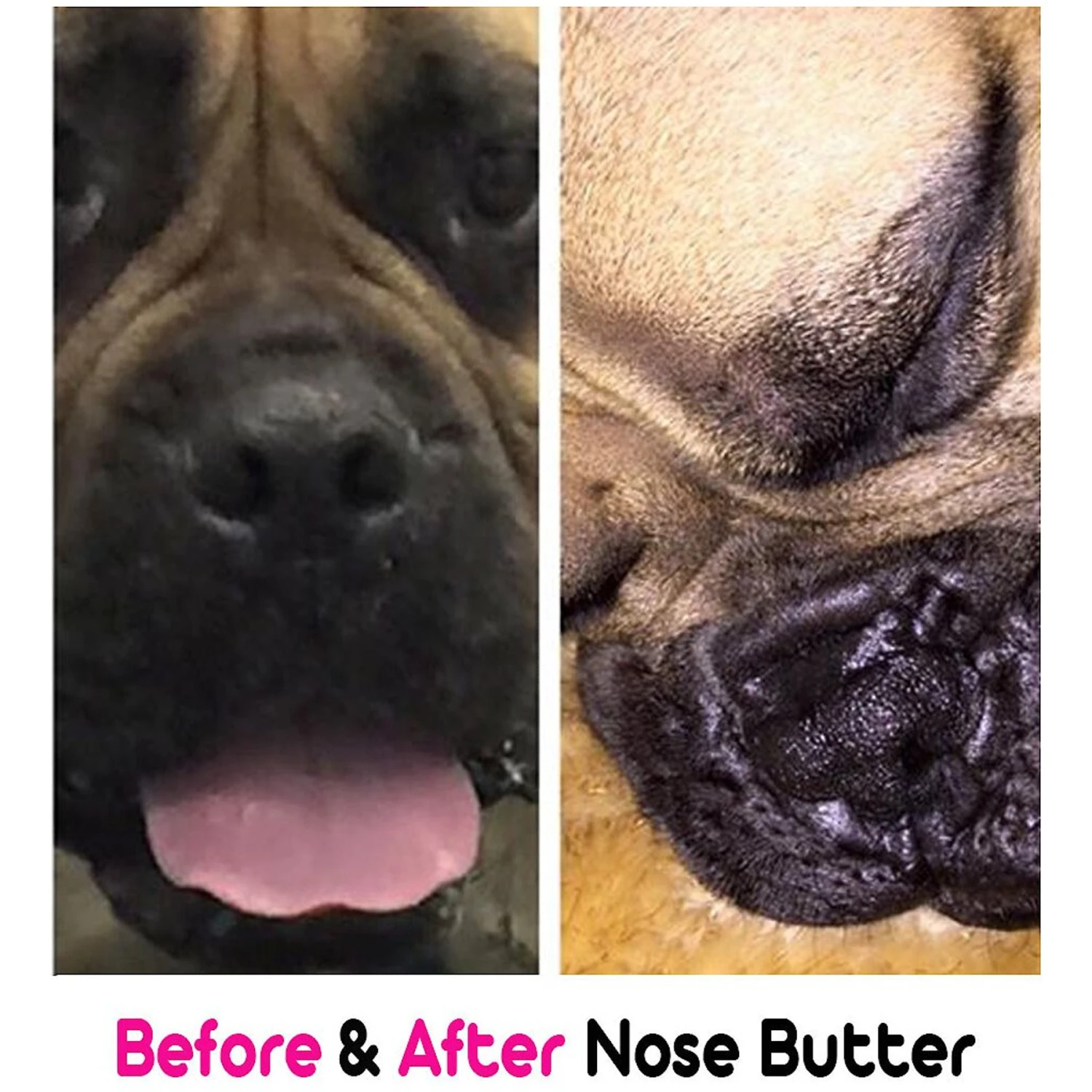 The Blissful Dog Every Dog Nose Butter 5 The Blissful Dog Every Dog Nose Butter - Image 5