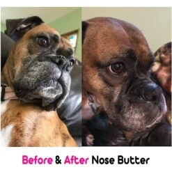 The Blissful Dog Bulldog Nose Butter -Pet Wellness 161582 PT3. AC SS1800 V1552485419