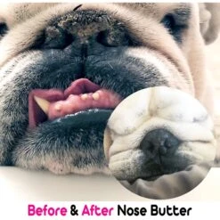 The Blissful Dog Bulldog Nose Butter -Pet Wellness 161582 PT4. AC SS1800 V1552485423