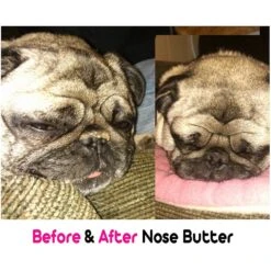 The Blissful Dog 3 Cute Puppies Nose Butter -Pet Wellness 161591 PT3. AC SS1800 V1552485421