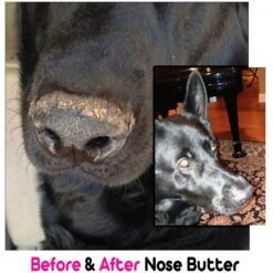 The Blissful Dog 3 Cute Puppies Nose Butter -Pet Wellness 161591 PT4. AC SS1800 V1552485422