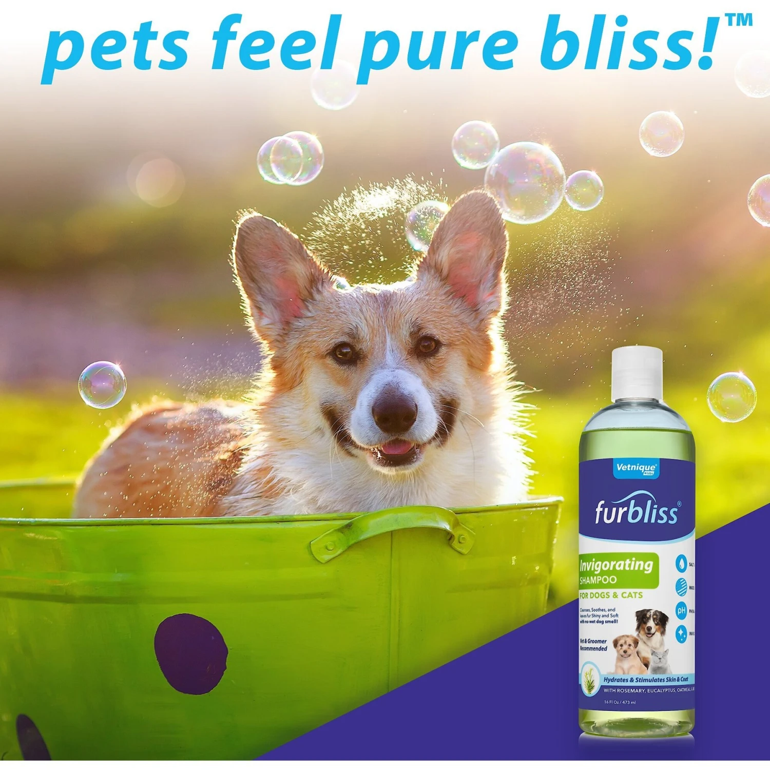 Vetnique Labs Furbliss Invigorating Shampoo With Rosemary, Eucalyptus & Oatmeal Dog & Cat Grooming Shampoo 6 Vetnique Labs Furbliss Invigorating Shampoo With Rosemary, Eucalyptus & Oatmeal Dog & Cat Grooming Shampoo - Image 6