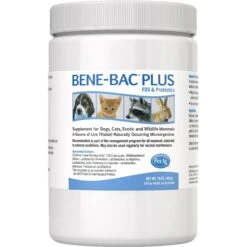 PetAg Bene-Bac Plus Powder Digestive Supplement For Dogs, Cats & Small Pets