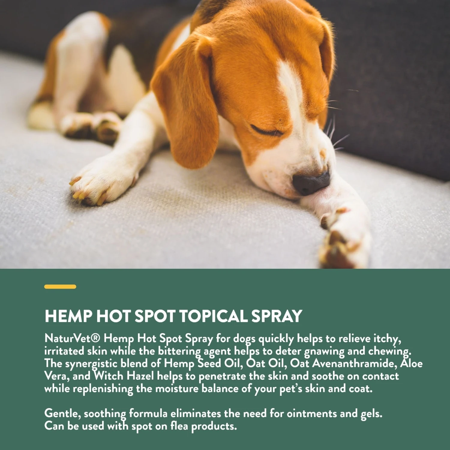 NaturVet Hemp Hot Spot With Aloe Vera Dog Spray 4 NaturVet Hemp Hot Spot With Aloe Vera Dog Spray - Image 4