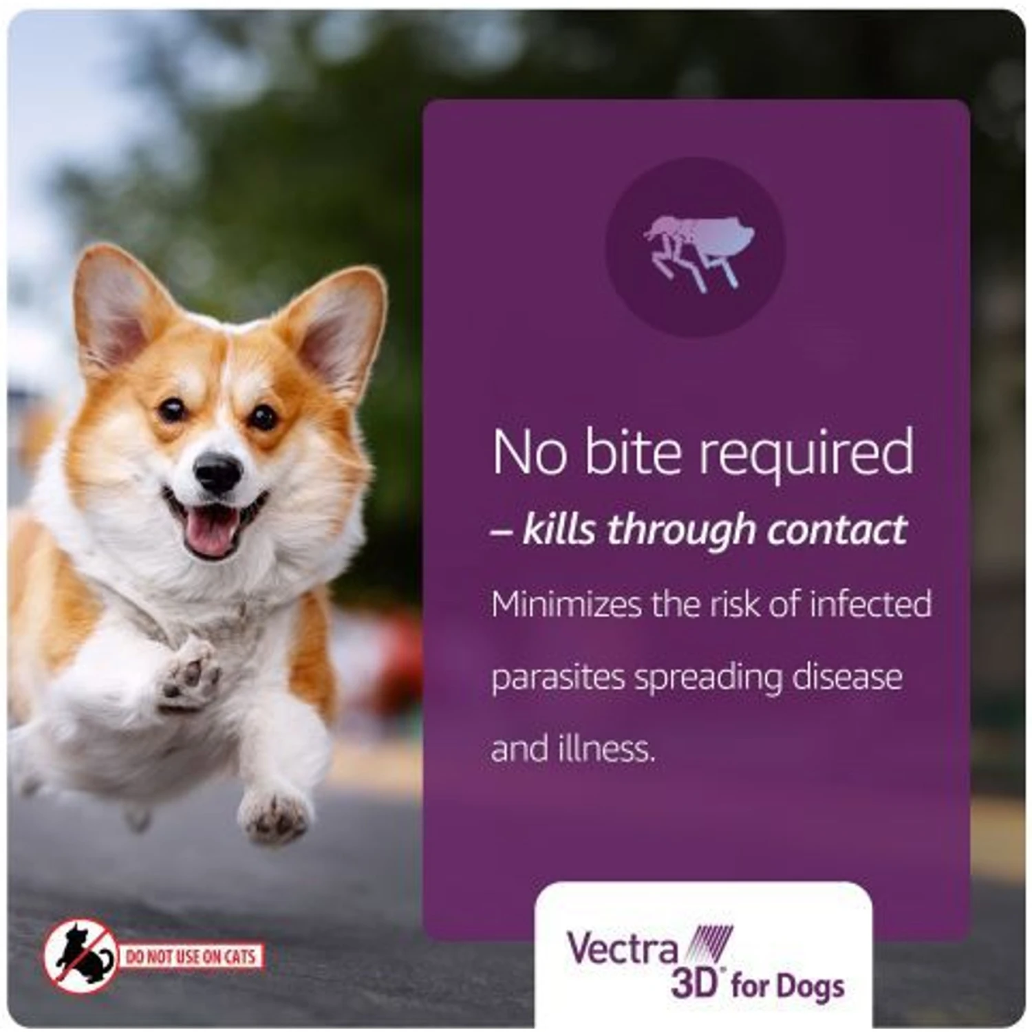Vectra 3D Flea & Tick Spot Treatment For Dogs, 11-20 Lbs 6 Vectra 3D Flea & Tick Spot Treatment For Dogs, 11-20 Lbs - Image 6