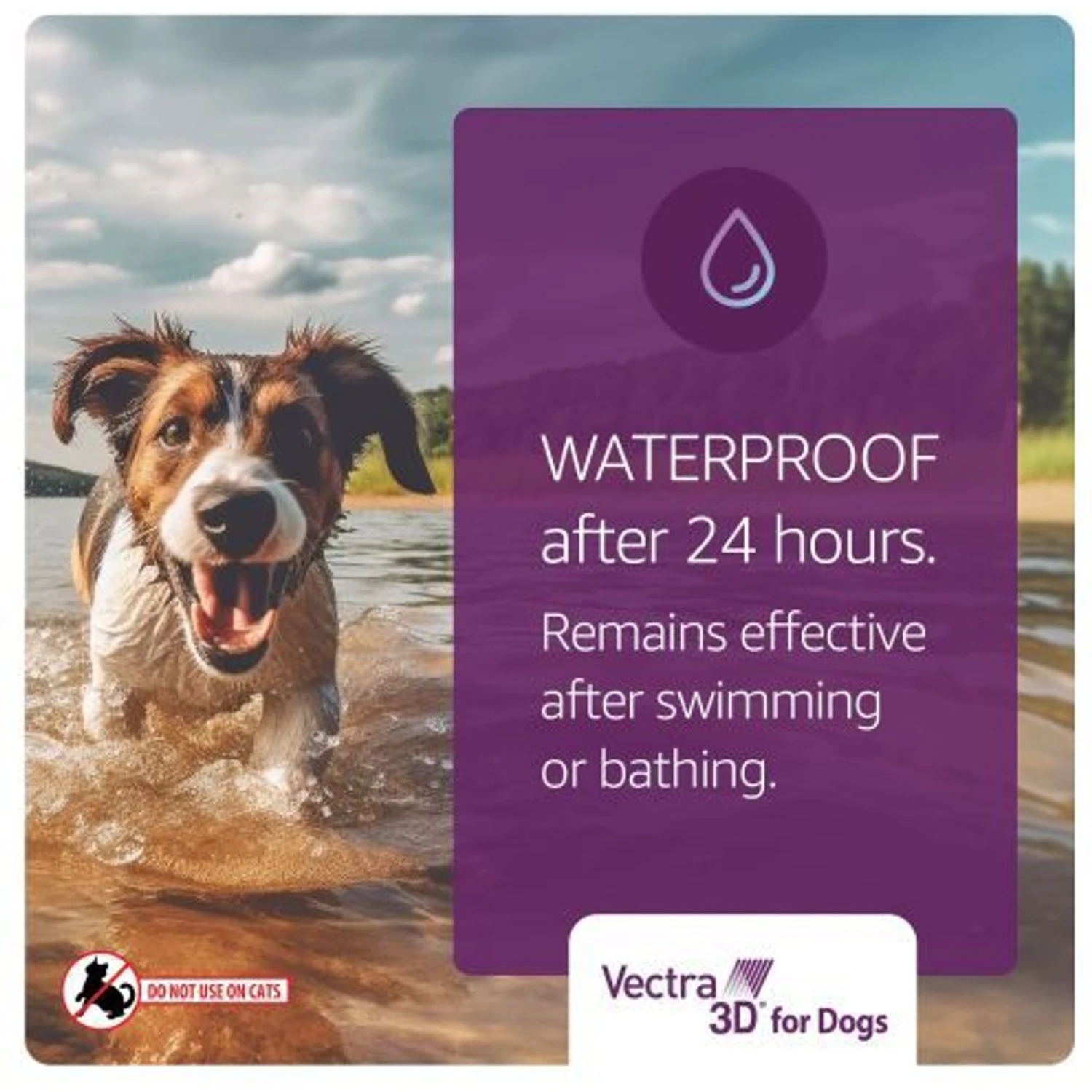 Vectra 3D Flea & Tick Spot Treatment For Dogs, 11-20 Lbs 9 Vectra 3D Flea & Tick Spot Treatment For Dogs, 11-20 Lbs - Image 9