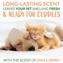 TropiClean Waterless Papaya & Coconut Dog & Cat Shampoo -Pet Wellness 163945 PT5. AC SS1800 V1684419482