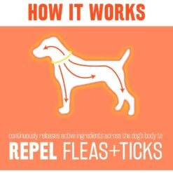 TropiClean Flea & Tick Collar For Dogs, Large Breeds -Pet Wellness 163949 PT5. AC SS1800 V1554305687