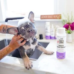 Skout's Honor Probiotic Lavender Pet Shampoo & Conditioner -Pet Wellness 164143 PT7. AC SS1800 V1658230530