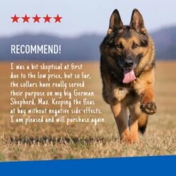 Adams® Adams Plus Flea & Tick Collar For Dogs & Puppies -Pet Wellness 165030 PT6. AC SS1800 V1679082246