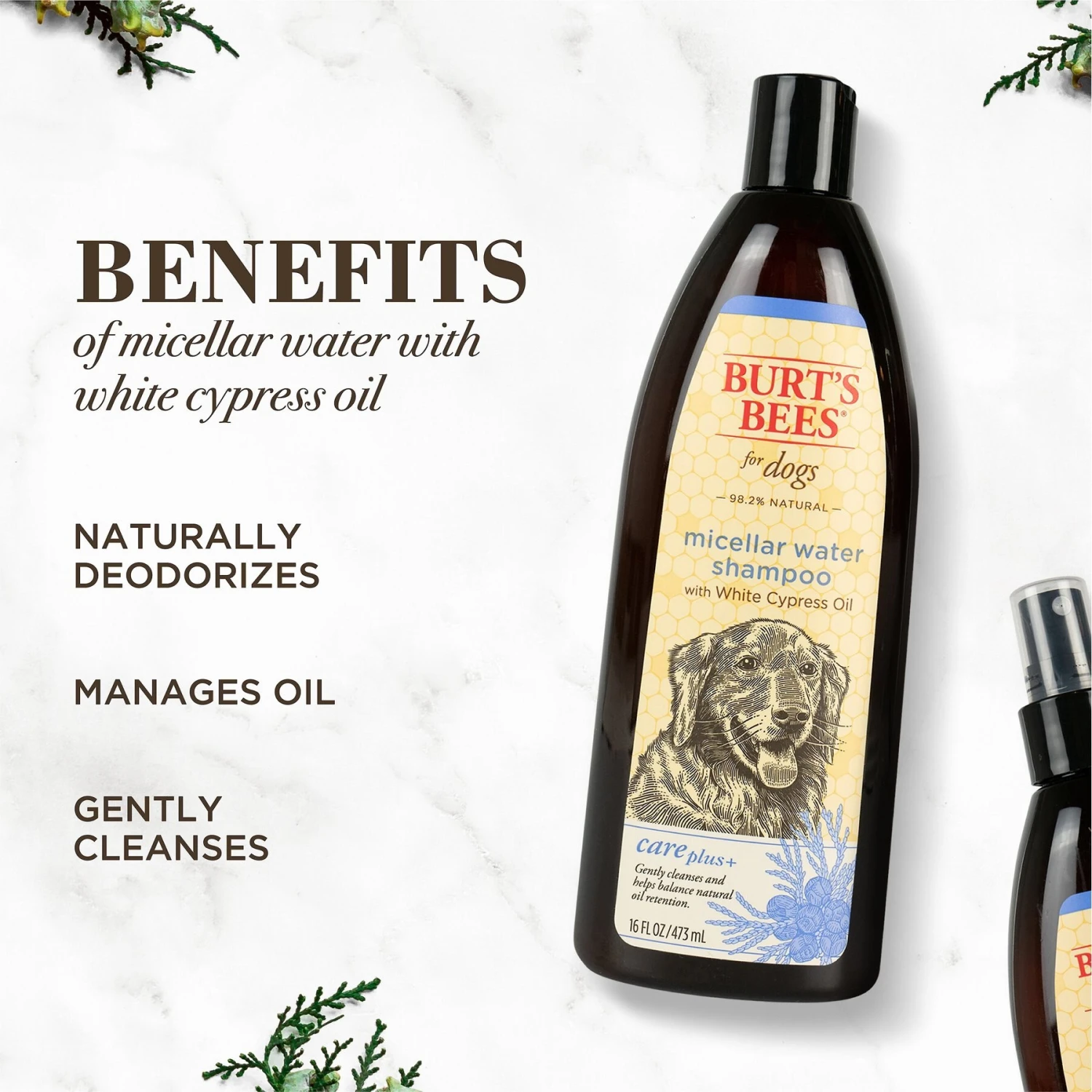 Burt's Bees Care Plus+ Micellar Water Dog Shampoo 2 Burt's Bees Care Plus+ Micellar Water Dog Shampoo - Image 2