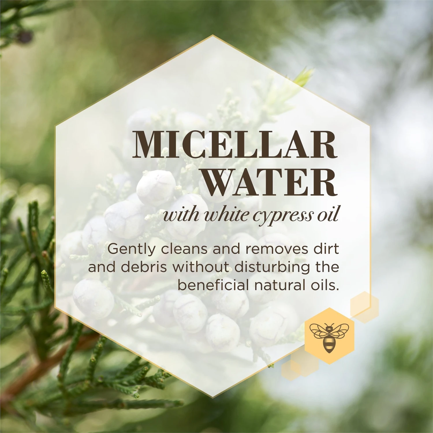 Burt's Bees Care Plus+ Micellar Water Dog Shampoo 3 Burt's Bees Care Plus+ Micellar Water Dog Shampoo - Image 3