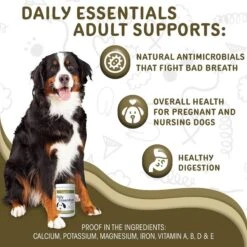 Waggedy Daily Essentials Multivitamin Adult Chew Supplement For Dogs, 60 Count -Pet Wellness 165426 PT2. AC SS1800 V1555346825