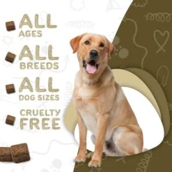 Waggedy Daily Essentials Multivitamin Adult Chew Supplement For Dogs, 60 Count -Pet Wellness 165426 PT4. AC SS1800 V1555345632