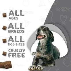 Waggedy Daily Essentials Multivitamin Senior Dog Supplement -Pet Wellness 165428 PT4. AC SS1800 V1555345665