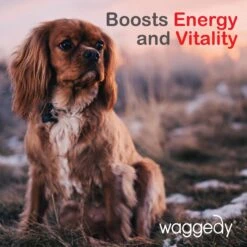 Waggedy Daily Essentials Multivitamin Senior Dog Supplement -Pet Wellness 165428 PT8. AC SS1800 V1555345683