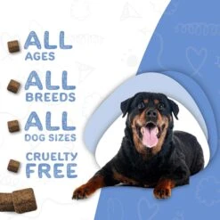 Waggedy Calm Stress & Anxiety Relief Melatonin Dog Supplement 11 Waggedy Calm Stress & Anxiety Relief Melatonin Dog Supplement -Pet Wellness 165430 PT4. AC SS1800 V1555345686