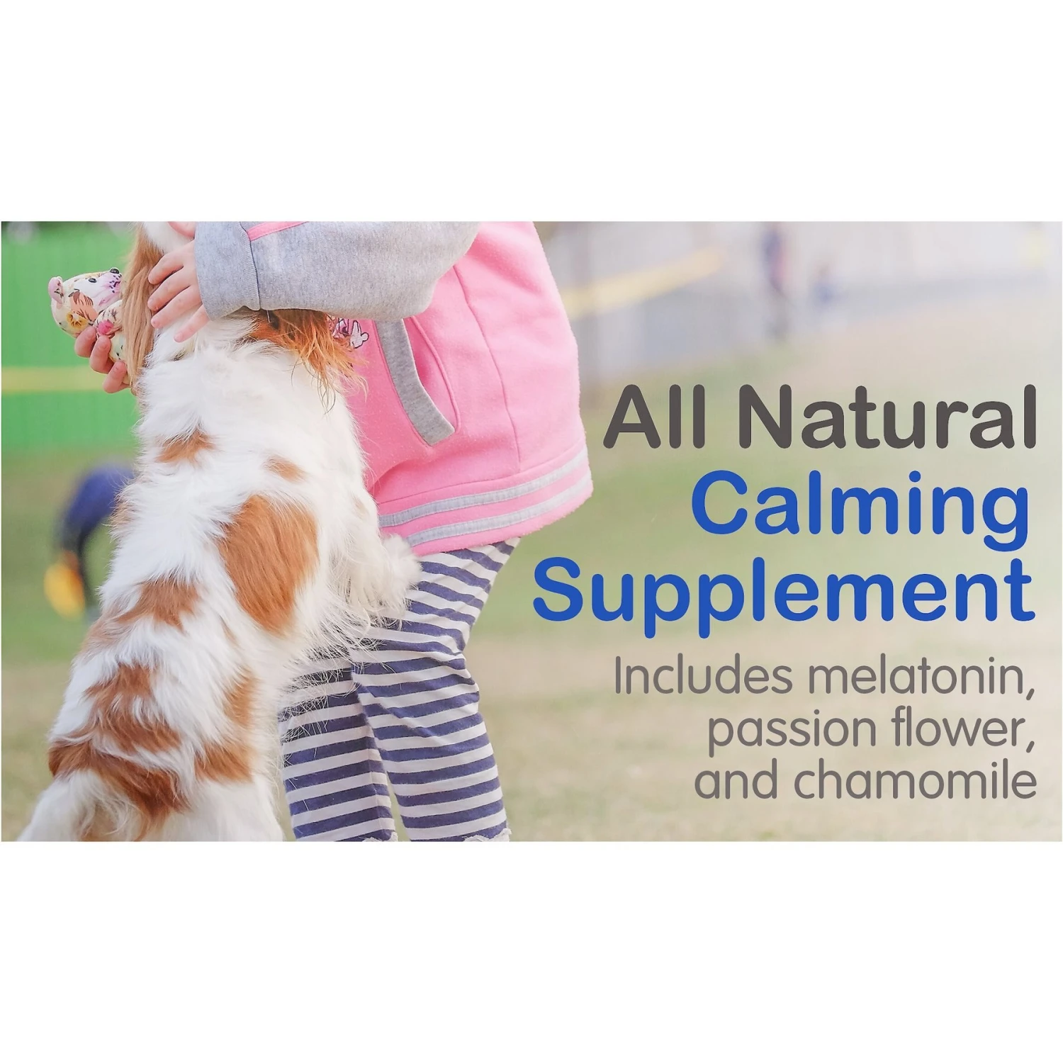 Waggedy Calm Stress & Anxiety Relief Melatonin Dog Supplement 7 Waggedy Calm Stress & Anxiety Relief Melatonin Dog Supplement - Image 7